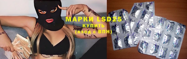 PSILOCYBIN Лабытнанги