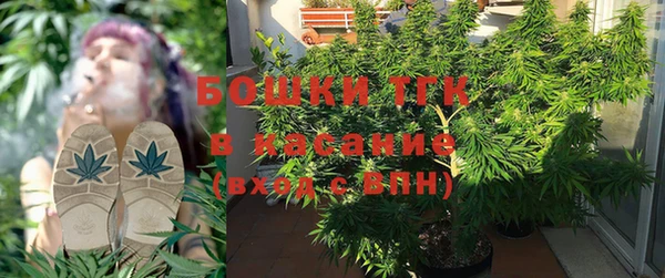 PSILOCYBIN Лабытнанги